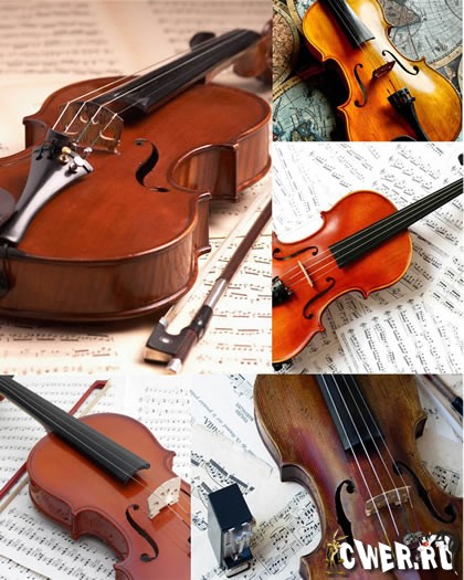 Violin Wallpapers