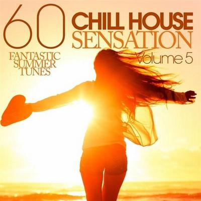 Chill House Sensation Vol 5. 60 Fantastic Summer Tunes