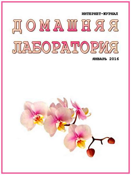 Домашняя лаборатория №1 январь 2016