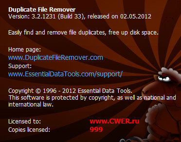 Duplicate File Remover