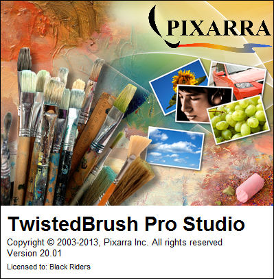 TwistedBrush Pro Studio