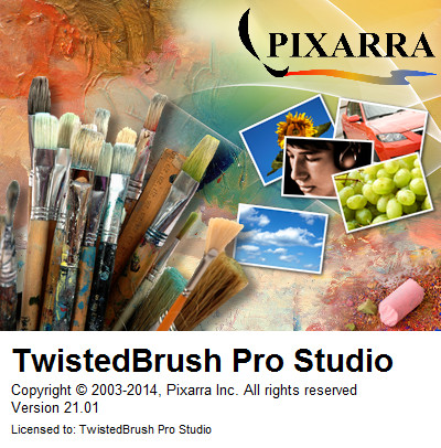 TwistedBrush Pro Studio