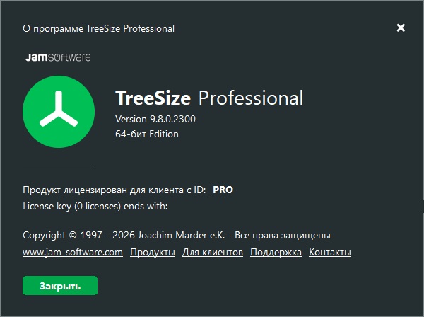 TreeSize Professional