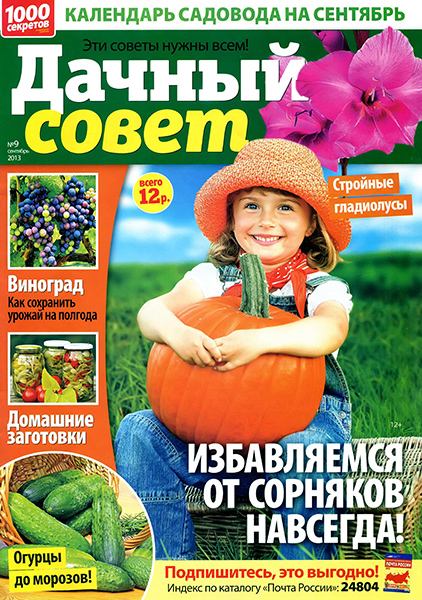 Дачный совет №9 2013