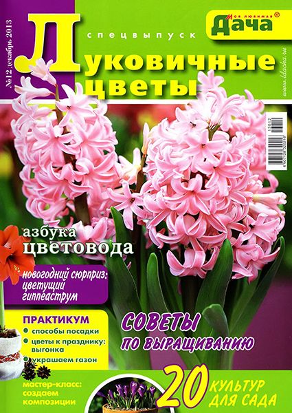 Моя любимая дача. Спецвыпуск №12 2013