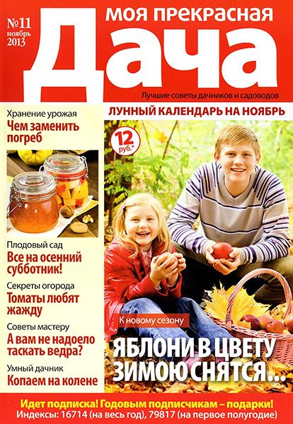 Моя прекрасная дача №11 2013