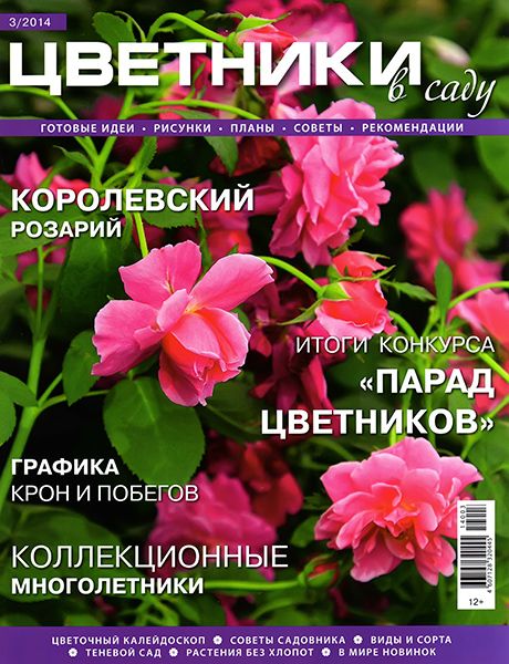 Цветники в саду №3 2014