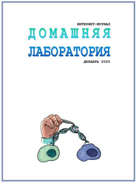 Домашняя лаборатория №12 декабрь 2025