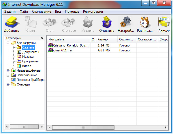 Internet Download Manager