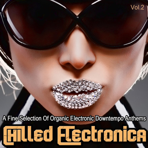 Chilled Electronica Vol.2: A Fine Selection of Organic Electronic Downtempo Anthems