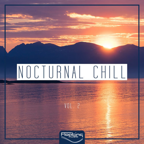 Nocturnal Chill Vol.2