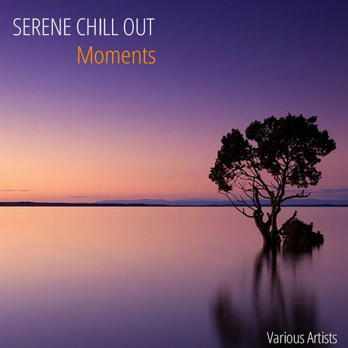 Serene Chill Out Moments