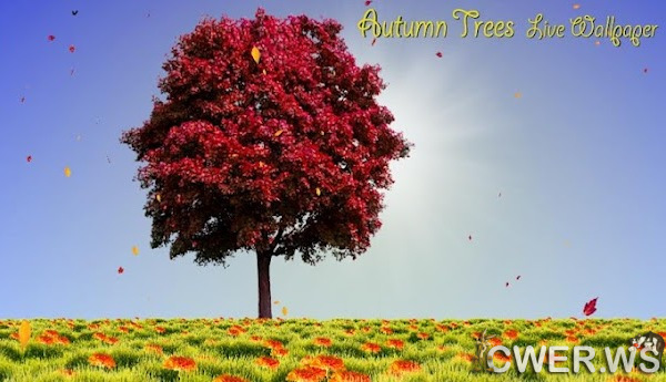 Autumn Trees Live Wallpaper