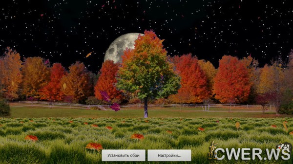 Autumn Trees Live Wallpaper