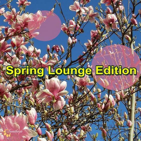 скачать Spring Lounge Edition (2012)