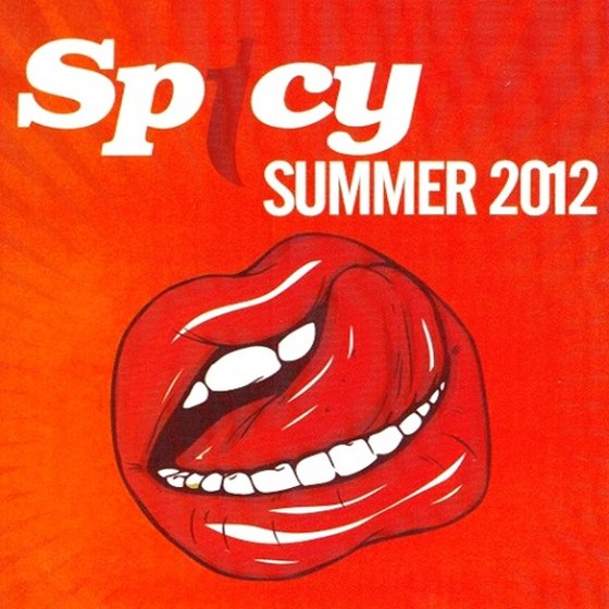 скачать Spicy Summer (2012)