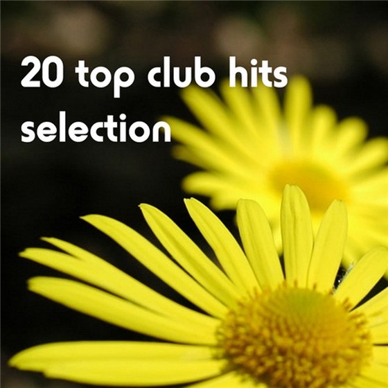 скачать 20 Top Club Hits Selection (2012)