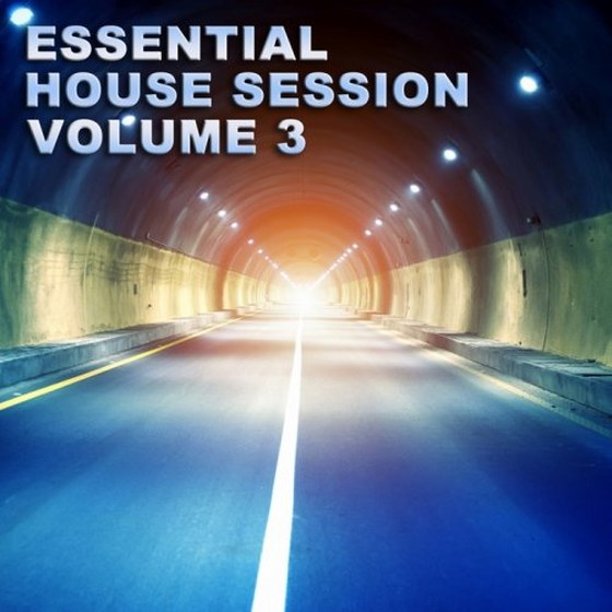 скачать Essential House Session Vol 3 (2012)