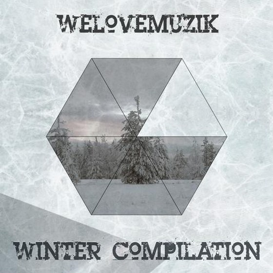 скачать WeLoveMuzik Winter Compilation (2012)