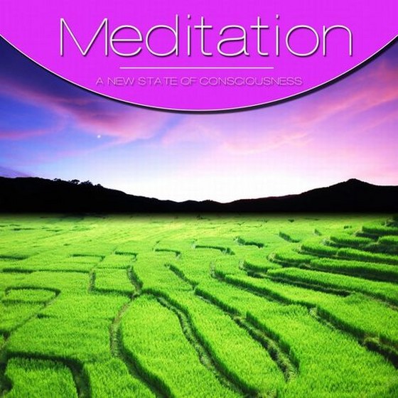 скачать Meditation Vol. Violet (2012)