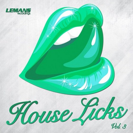 House Licks Vol 3 (2013)