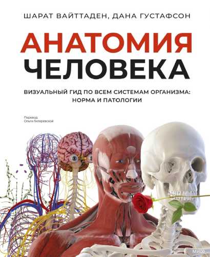 Анатомия человека. Визуальный гид по всем системам организма