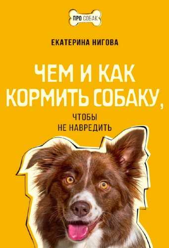 Чем и как кормить собаку, чтобы не навредить