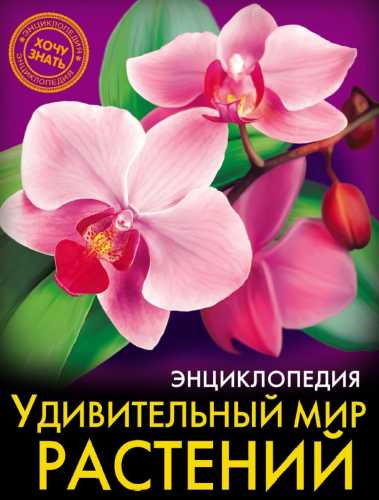 Удивительный мир растений