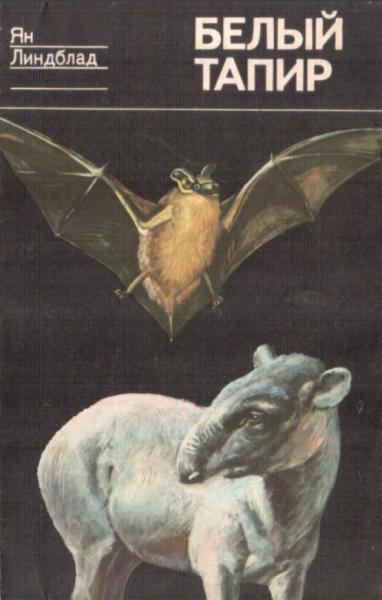 Я. Линдблад. Белый тапир