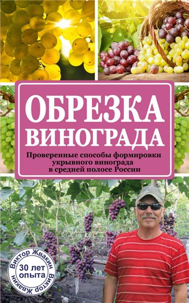 Виктор Жвакин. Обрезка винограда