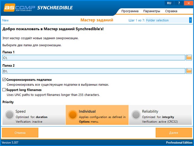 Synchredible Professional 5.307