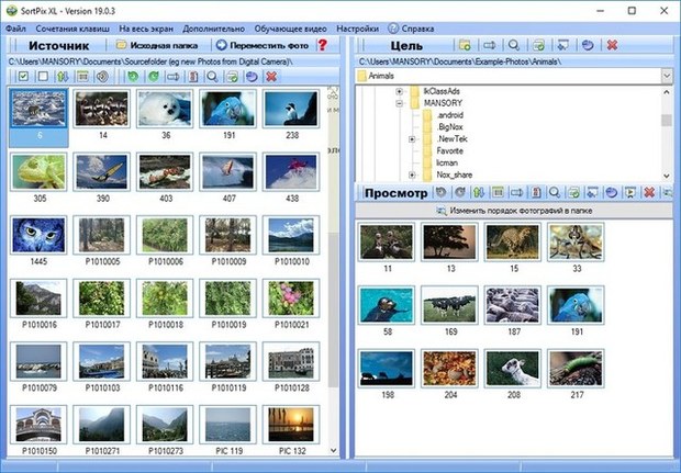 SortPix XL 19.0.3 + Rus