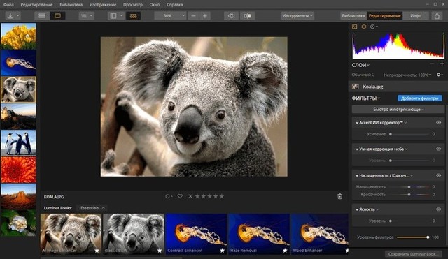 Luminar 3.0.2.2105