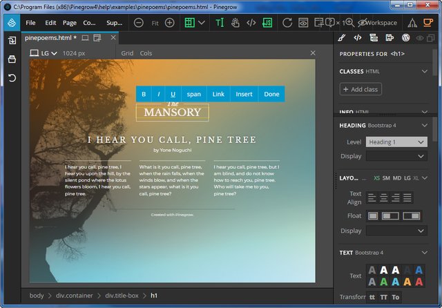 Pinegrow Web Editor Pro 4.91