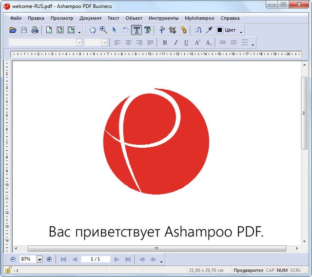 Ashampoo PDF Business 1.0.7 + Portable