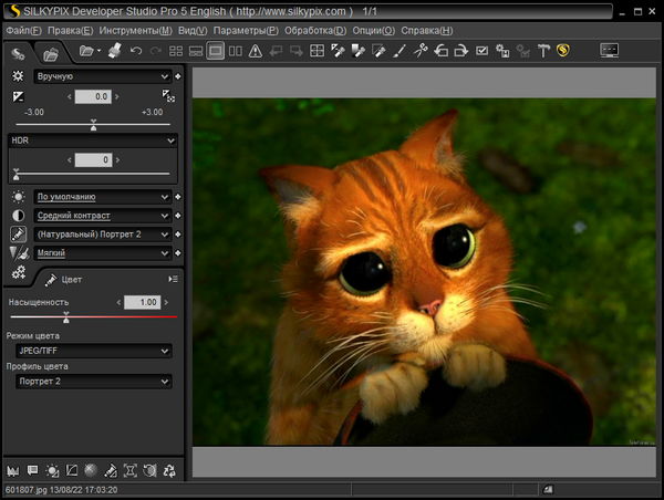 SILKYPIX Developer Studio Pro