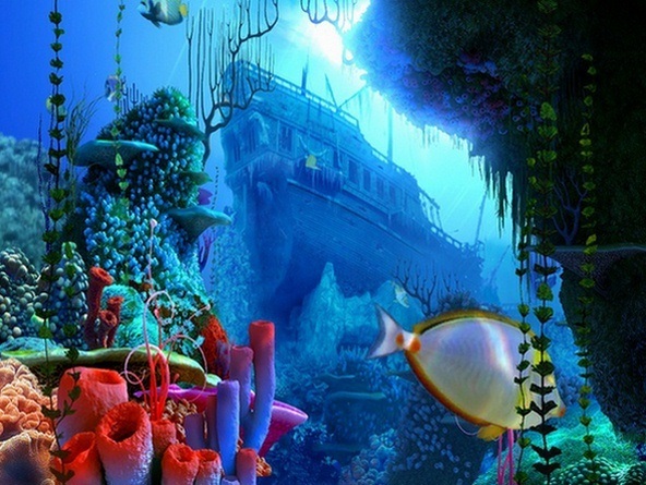 Coral Reef 3D Screensaver