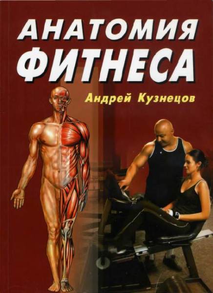 anatomiya_fitnesa