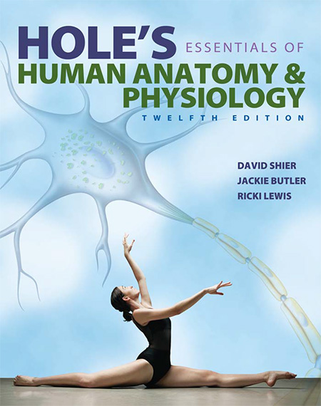 Hole's Essentials of Human Anatomy & Physiology