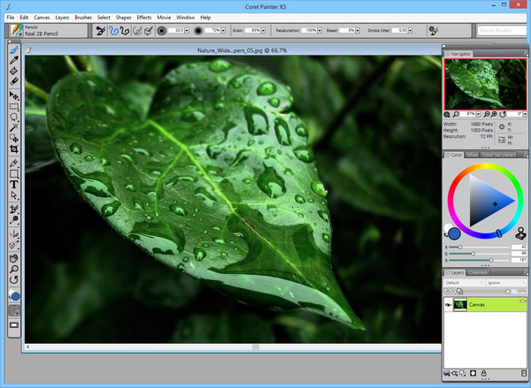 Corel Painter X3