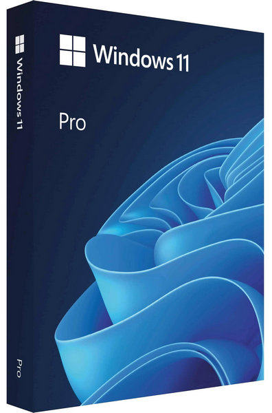 Windows 11 Pro Lite 24H2