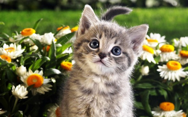 New Mixed HD Wallpapers Pack 360