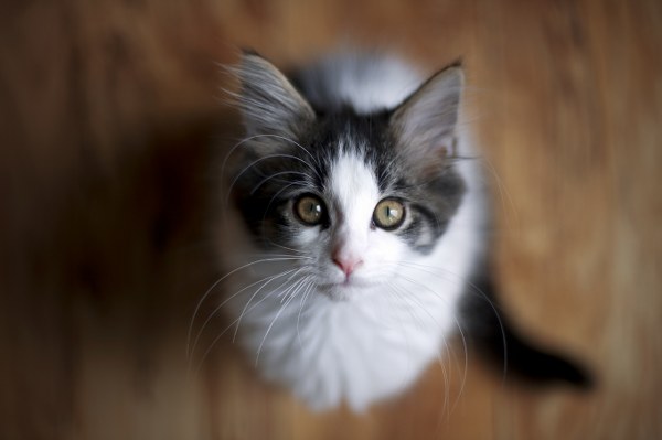 New Mixed HD Wallpapers Pack 371