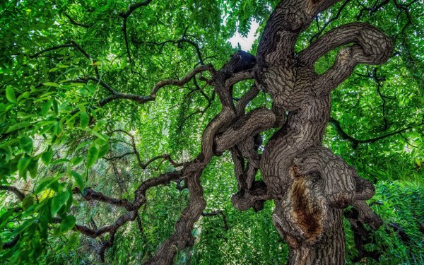 Best Mixed Wallpapers Pack #381-382