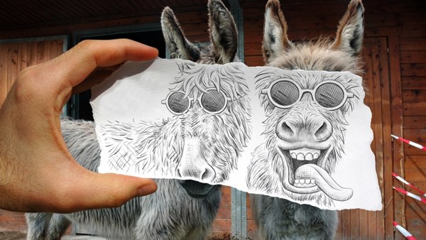 New Mixed HD Wallpapers Pack 231