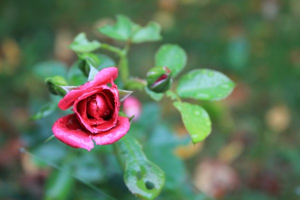 New Mixed HD Wallpapers Pack 171