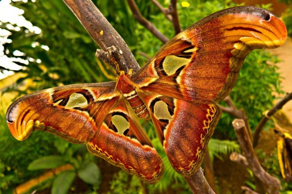 New Mixed HD Wallpapers Pack 171