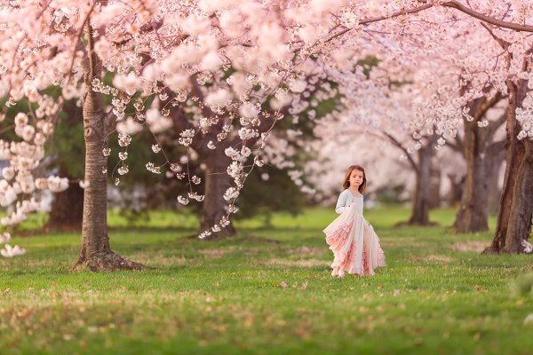 New Mixed HD Wallpapers Pack 266