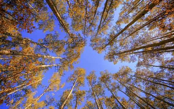 New Mixed HD Wallpapers Pack 203