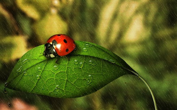 New Mixed HD Wallpapers Pack 208